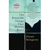 The Beautiful Things That Heaven Bears