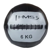shumee WLB6 CVIČEBNÁ LOPTA - NÁSTENNÁ LOPTA HMS