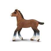 Safari Žrebe Clydesdale