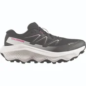 Salomon ULTRA FLOW 2 GTX W, ženski trail tekaški copati, siva L49299500