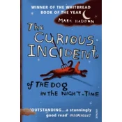 Curious Incident of the Dog in the Night-time