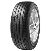 Minerva Snowpower 2 S210 ( 225/40 R19 93V XL )