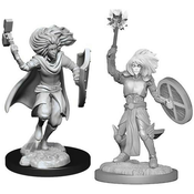 Model Dungeons & Dragons Nolzurs Marvelous Unpainted Miniatures - Changeling Cleric