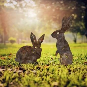 Aberto Design Set dekorativnih figura RaAbbits 01, 52x35 & 56x24 cm, 2 komada