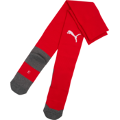 Puma Nogavice teamLIGA26 Core