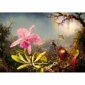 Martin Johnson Heade Cattleya Orchid and Three Hummingbirds 1871Martin Johnson Heade Cattleya Orchid and Three Hummingbirds 1871