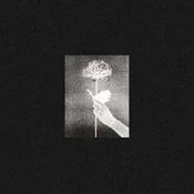 White Flowers - Day By Day (Square Sleeve Corners) (Limited Edition) (Deep Blue Coloured) (LP)