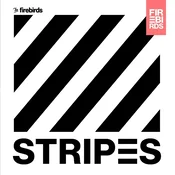 The Firebirds - Stripes (LP)