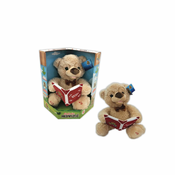 MILLA TOYS Gospodin medvedic