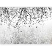 artgeist Fototapeta Natural Brightness, 200x140cm
