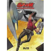 Storm - Die Chroniken aus der Zwischenzeit. Band 4