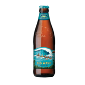 Kona Pivo Golden Ale Big Wave STK 0,355 l
