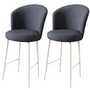 Hanah Home Set barskih stolica Alte, 2 komada, Antracit-beli