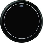 Remo Pinstripe Ebony 20