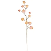 Mömax Umetna Rastlina Physalis I -Paz-
