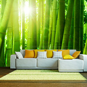Foto tapeta - Sun and bamboo 200x154