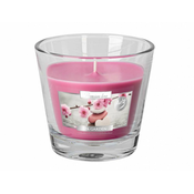 eoshop Sveča v kozarcu AURELIA zdraviliški VRT 160g