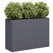 vidaXL Sadilnik Antracit 120x40x80 cm Hladno valjano jeklo