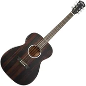 Washburn DFEFE-U Striped Ebony Ostale elektroakustične (Kot novo)