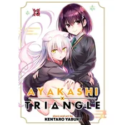 AYAKASHI TRIANGLE V13