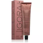 Schwarzkopf Prof. 10-minutna trajna barva za lase Igora Color 10 (Permanent 10 Minute Color Cream) 60 ml (Odtenek 6-00)