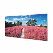 tulup.si Stenska plošča za kuhinjo Field gozdne vresovke 125x50 cm