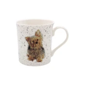 LEONARDO SKODELICA YORKIE