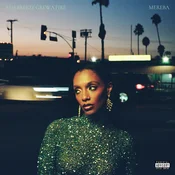 Mereba - The Breeze Grew A Fire (LP)