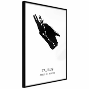Poster - Zodiac: Taurus I 20x30