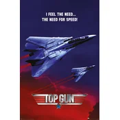 Grupo PLAKAT TOP GUN THE NEED FOR SPEED, (20837042)
