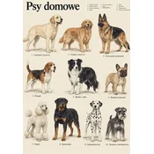 Plakat 21x30 cm Domači psi pasme psov vintage atlas pasem A4