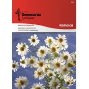 Seme kamilica