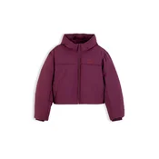 Tommy Jeans Zimska jakna jajčevec