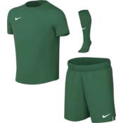 Nike Komplet Dri-FIT Park VIII Set Kids