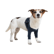 MPS Pooperativna zaščitna obleka za obe prednji nogi psa 48 cm, prsni obseg. 96-124 cm
