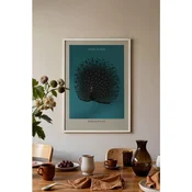WallXpert uramljena slika 115211, The Black Peacock Ohare Kosona, crni paun, tirkizna pozadina, 50 x 70 cm, beli ram