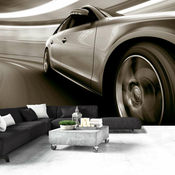 Foto tapeta - Speed and Elegance 250x175