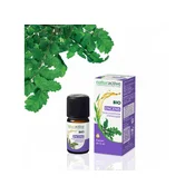 Naturactive Organic Incense Essential Oil 5ML