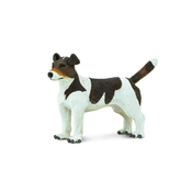 Safari Jack Russell terier