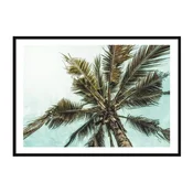 shumee PLAKAT V OKVIRJU 33x43 cm Palm P2246