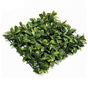 Zelene stene Lovorikovec 50x50 cm - zelena - do 12 panelov - do 96 panelov/ cena za kos: - 31 do 50 cm