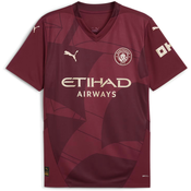 Dres Puma Manchester City 2024/25 3rd Jersey Men