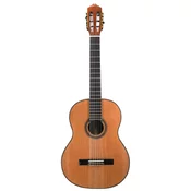 Wakertone Klasicna gitara W-08, 4/4, Natural