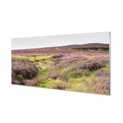 tulup.si Stenska plošča za kuhinjo Terenske vresovke 100x50 cm