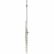 Flavta PS 505 CEF Sonare Powell