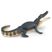 Safari Aligator