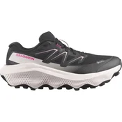 Salomon Ultra Flow 2 GTX
