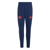 adidas Hlače FC Bayern Tiro Travel
