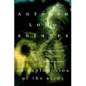 An Explanation of the Birds