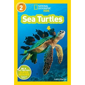 National Geographic Kids Readers: Sea Turtles